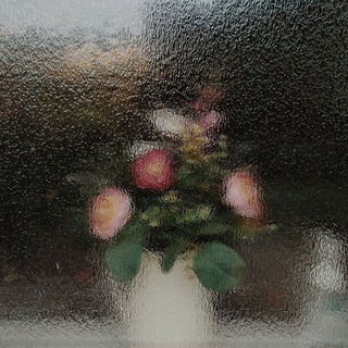 Telegram profile photo for SCRIPT.