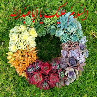 Telegram profile photo for 🌱با هم قلمه بگیریم 🌱