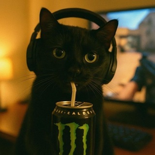 Telegram profile photo for gextein | FFT