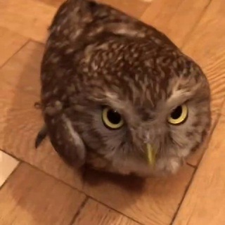Telegram profile photo for Ари Милейшая