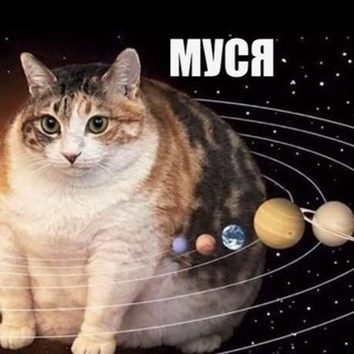 Telegram profile photo for Муся диссоциируется прям щас