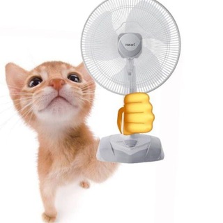 Telegram profile photo for Тыквенная полянка