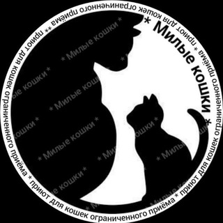 Telegram profile photo for Милые Кошки