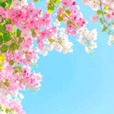 Telegram profile photo for آبیانوس