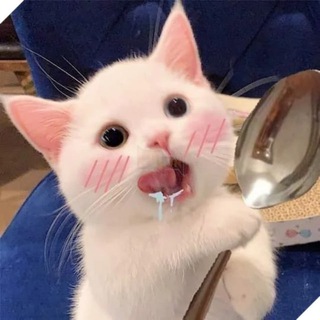 Telegram profile photo for Open Bullet Config - Tool Show Case