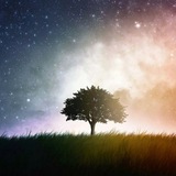 Telegram profile photo for Life Path