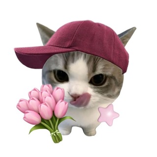 Telegram profile photo for @Mikeqt