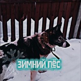 Telegram profile photo for ❄️/Ⳅυⲙⲏυύ Ⲡⲉⲥ /🙏🏻