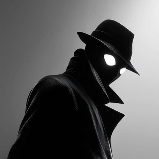 Telegram profile photo for سریال اسپایدرمن نوآر / برلین
