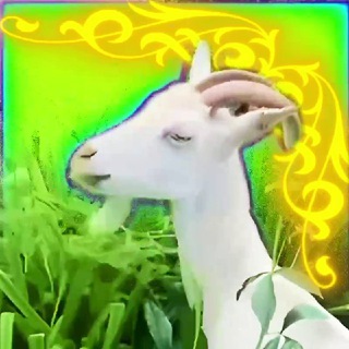 Telegram profile photo for Бутовские козлы