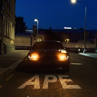 Telegram profile photo for APE hidden