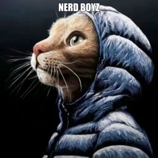 Telegram profile photo for nN3RD BOYZ