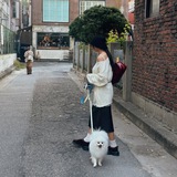 Telegram profile photo for Gyuri