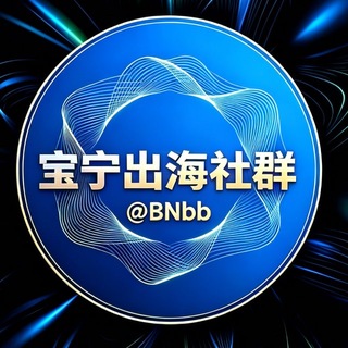 Telegram profile photo for 宝宁集团-出海海外数据资源群