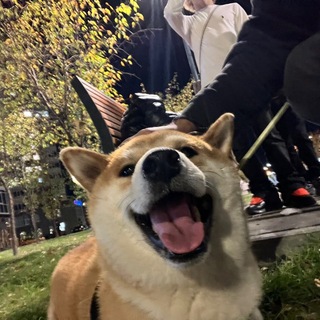 Telegram profile photo for Meriui