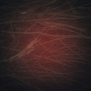 Telegram profile photo for Obscure