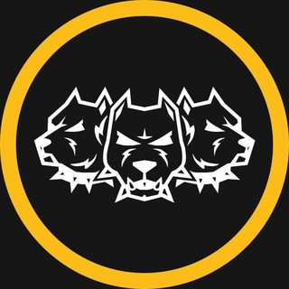 Telegram group profile photo for ЧАТ ЦЕРБЕРА