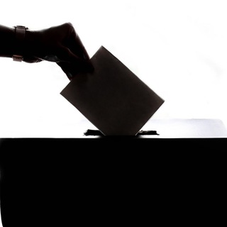 Telegram profile photo for Global Polls