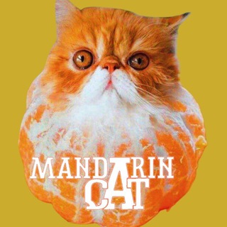 Telegram profile photo for $MandarinCat