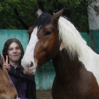 Telegram profile photo for Пончик и другие лошадки