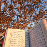 Telegram profile photo for مَسنَدِي القُـرآن 📿
