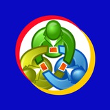 Telegram profile photo for Meta Terminals