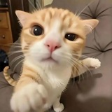 Telegram profile photo for لمسلم