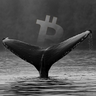 Telegram profile photo for Crypto Whale