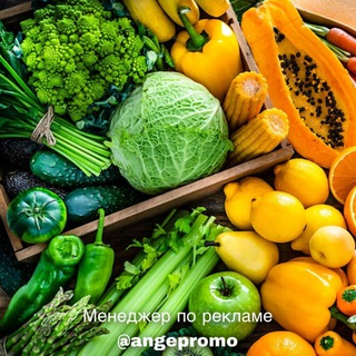 Telegram profile photo for Для Начинающих | Похудение