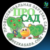 Telegram profile photo for ПРО САД 🍎🌳🌲