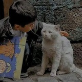 Telegram profile photo for اللهُ يقبَلُ مَن أتاه! 💔