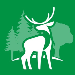 Telegram profile photo for ОхотУправление Курганской области