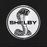 Telegram profile photo for 谢尔比俱乐部认证榜单