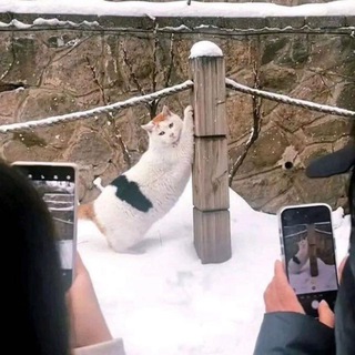 Telegram profile photo for 랜디의 선건전곤(旋乾轉坤)