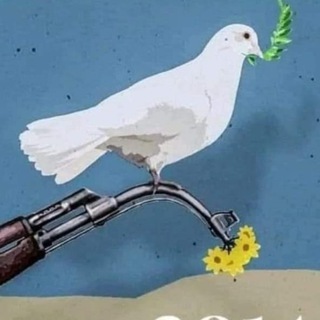 Telegram profile photo for የሸገር ልጅ ነኝ
