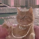 Telegram profile photo for IT ˃ 𖥦 ˂ Princess