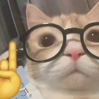 Telegram group profile photo for Random Discussions