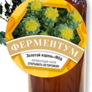 Telegram profile photo for СОЗДАТЕЛЬ ЭНЗИМОВ ИСПАНИЯ