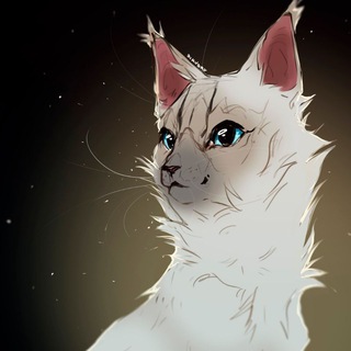 Telegram profile photo for ARTOMIR