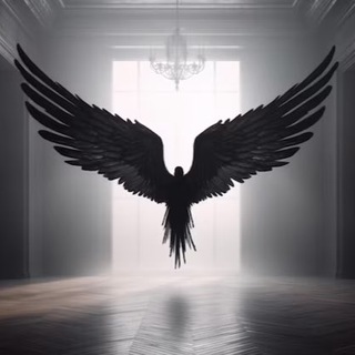 Telegram profile photo for TEYP BACK