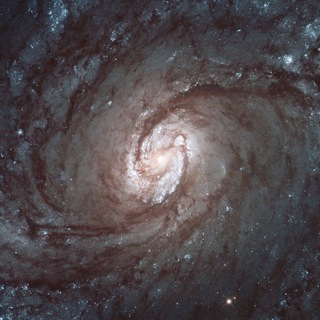 Telegram profile photo for Astronomy Picture of the Day