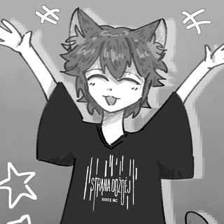 Telegram profile photo for ND4T