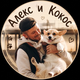 Telegram profile photo for Алекс и корги Кокос