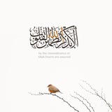 Telegram profile photo for أَلَا بِذِكْرِ اللَّهِ تَطْمَئِنُّ الْقُلُوبُ