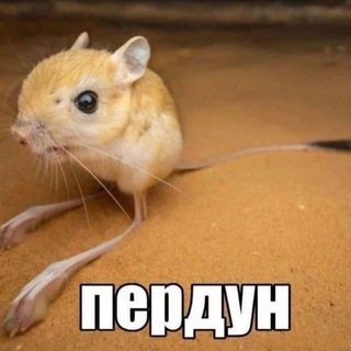 Telegram profile photo for Резы А́крил