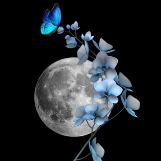 Telegram profile photo for خانه روانشناسی"ماه کامل"