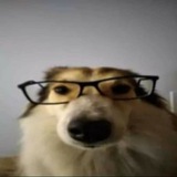Telegram profile photo for ОТЗЫВЫ И ПРАЙС