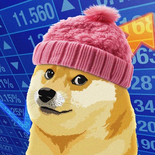 Telegram profile photo for dogewifhat - the dogwifhat killer