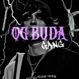 Telegram profile photo for OG BUDA GANG