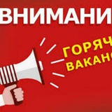 Telegram profile photo for vacancies